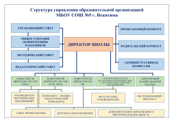 Структура управления образовательной организацией